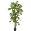 Homplanti 6' Areca Palm Tree W/1155 Lvs