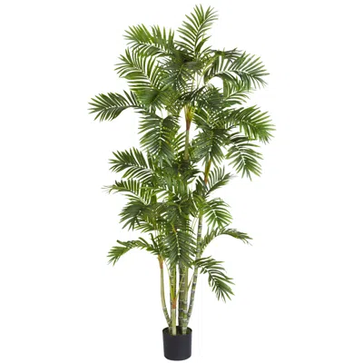 Homplanti 6' Areca Palm Tree W/1155 Lvs