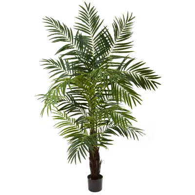 Homplanti 6' Areca Palm Tree X 13 W/602 Lvs