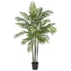 Homplanti 6' Areca Palm Tree X 7 W/1332 Lvs