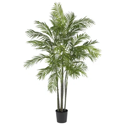 Homplanti 6' Areca Palm Tree X 7 W/1332 Lvs