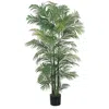 Homplanti 6' Areca Palm Tree X 8 W/1464 Lvs
