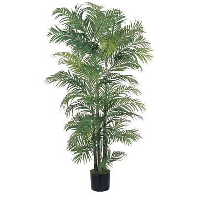 Homplanti 6' Areca Palm Tree X 8 W/1464 Lvs