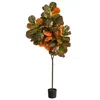 Homplanti 6' Autumn Fiddle Leaf Artificial Tree