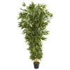 Homplanti 6' Bamboo Artificial Tree (real Touch) Uv Resistant