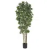Homplanti 6' Bamboo Japanica Tree W/3200 Lvs Natural