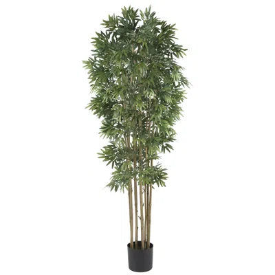 Homplanti 6' Bamboo Japanica Tree W/3200 Lvs Natural