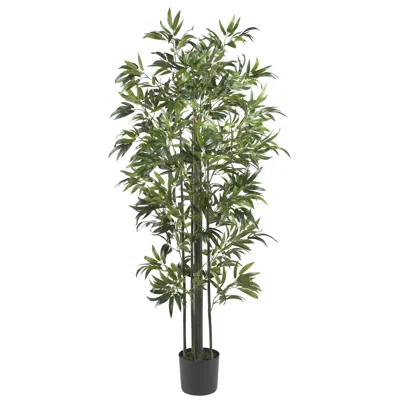 Homplanti 6' Bamboo Tree (green Trunks) X 6 W/1160 Lvs