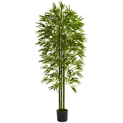 Homplanti 6' Bamboo Tree Uv Resistant X 3 W/1280 Lvs (indoor/outdoor)