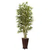 Homplanti 6' Bamboo Tree W/decorative Planter