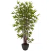 Homplanti 6' Bamboo Tree X 15 W/planter