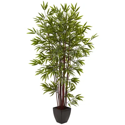 Homplanti 6' Bamboo Tree X 15 W/planter