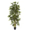 Homplanti 6' Bamboo Tree X 7 W/1024 Lvs