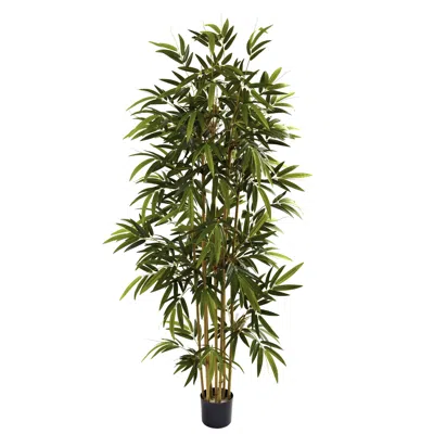 Homplanti 6' Bamboo Tree X 7 W/1024 Lvs