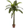 Homplanti 6' Banana Tree (real Touch)