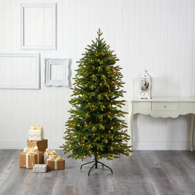 Homplanti 6' Belgium Fir Christmas Tree With 300 Clear Led Lights In Multi