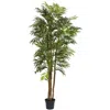 Homplanti 6' Bella Palm Tree W/1496 Lvs