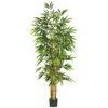 Homplanti 6' Belly Bamboo Tree W/1088 Lvs