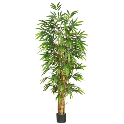 Homplanti 6' Belly Bamboo Tree W/1088 Lvs