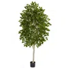 Homplanti 6' Birch Tree