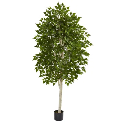 Homplanti 6' Birch Tree