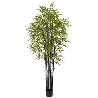 Homplanti 6' Black Bamboo Tree Uv Resistant (indoor/outdoor)