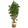 Homplanti 6' Black Olive Tree In Handmade Jute And Cotton Planter