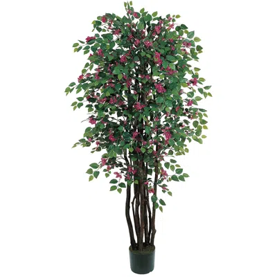 Homplanti 6' Bougainvillea Tree W/1802 Lvs & 484 Flrs