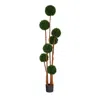 Homplanti 6' Boxwood Tree W/natural Trunk Uv (indoor/outdoor)