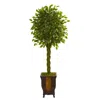 Homplanti 6' Braided Ficus Artificial Tree In Decorative Planter