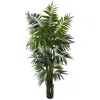 Homplanti 6' Bulb Areca Palm Tree W/534 Lvs