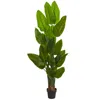 Homplanti 6' Canna Artificial Tree
