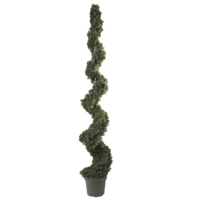 Homplanti 6' Cedar Spiral Tree W/1808 Lvs
