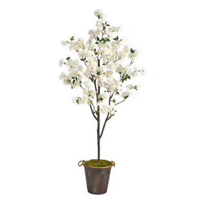 Homplanti 6' Cherry Blossom Tree In Decorative Metal Pail With Rope