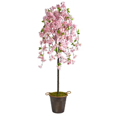 Homplanti 6' Cherry Blossom Tree In Decorative Metal Pail With Rope