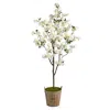 Homplanti 6' Cherry Blossom Tree In Farmhouse Planter