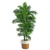 Homplanti 6' Curvy Parlor Palm Tree In Handmade Natural Jute Planter