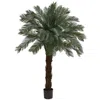 Homplanti 6' Cycas Tree Uv Resistant (indoor/outdoor)