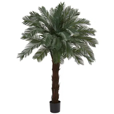 Homplanti 6' Cycas Tree Uv Resistant (indoor/outdoor)