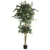 Homplanti 6' Double Ball Ficus Tree W/1596