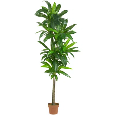 Homplanti 6' Dracaena Plant (real Touch) In Brown