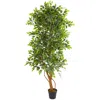 HOMPLANTI 6' ELEGANT FICUS ARTIFICIAL TREE