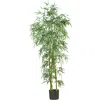 Homplanti 6' Fancy Slim Bamboo Tree W/1850 Lvs