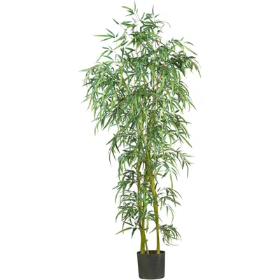 Homplanti 6' Fancy Slim Bamboo Tree W/1850 Lvs