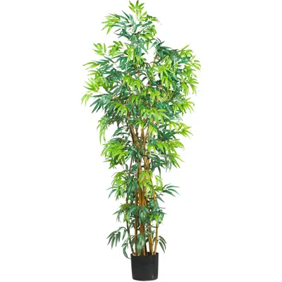 Homplanti 6' Fancy Style Bamboo Tree W/1700 Lvs