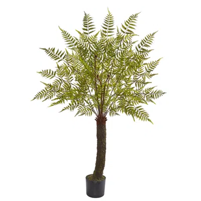 Homplanti 6' Fern Artificial Plant In Brown