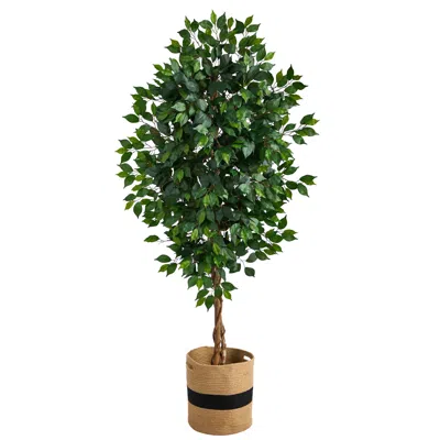 Homplanti 6' Ficus Tree In Handmade Natural Cotton Planter