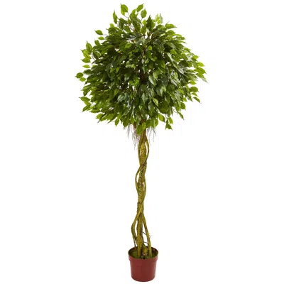 Homplanti 6' Ficus Tree Topiary Uv Resistant (indoor/outdoor)