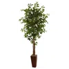 Homplanti 6' Ficus Tree W/bamboo Planter