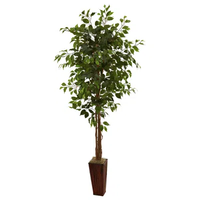 Homplanti 6' Ficus Tree W/bamboo Planter